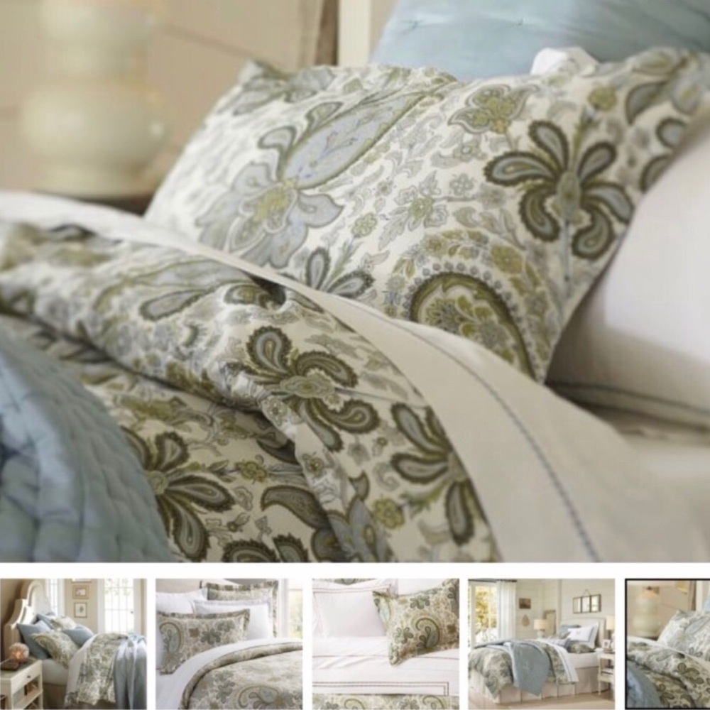 Pottery Barn Duvet and 2 Standard Shams